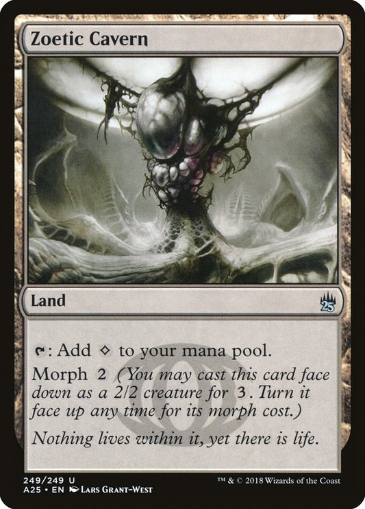 Zoetic Cavern [A25 - 249]