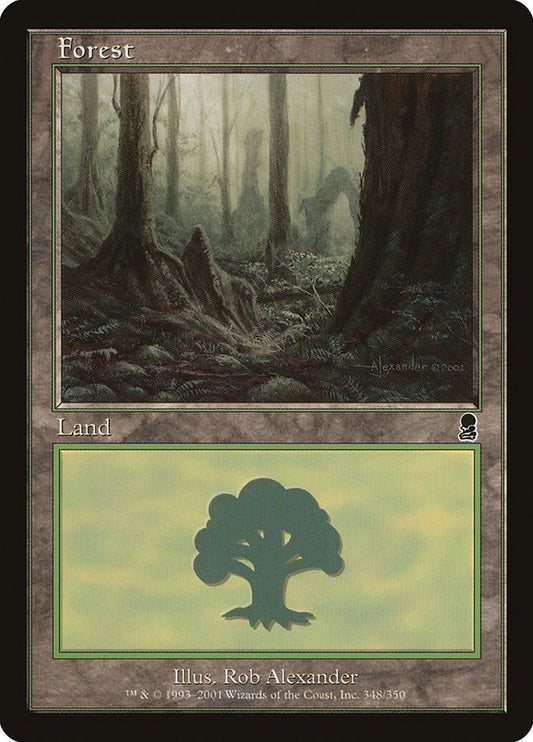 Forest (348)