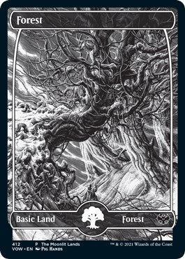 Forest (Moonlit Land) (Foil Etched) [WPN - 412]