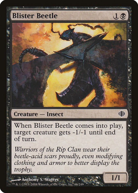 Blister Beetle [ALA - 66]
