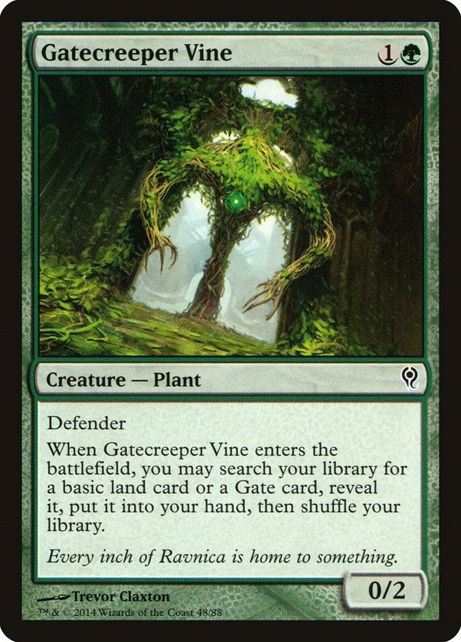 Gatecreeper Vine [DDM - 48]